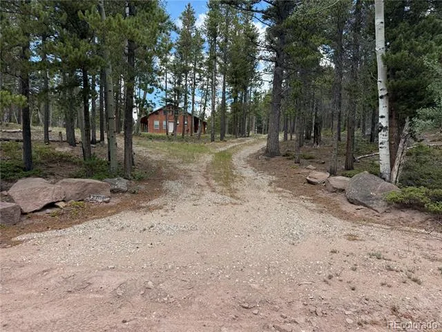 2704 Purnell Lane Fort Garland, CO 81133
