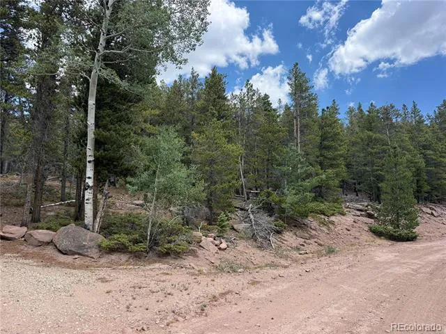 2704 Purnell Lane Fort Garland, CO 81133