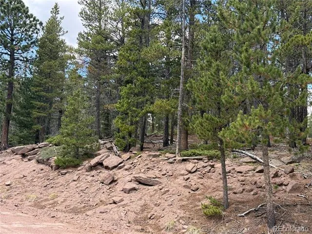 2704 Purnell Lane Fort Garland, CO 81133