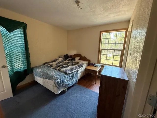 2704 Purnell Lane Fort Garland, CO 81133