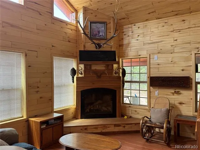 2704 Purnell Lane Fort Garland, CO 81133