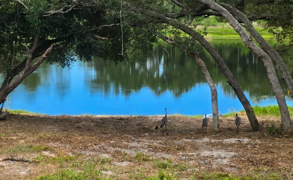 5387 SE 168TH AVENUE Ocklawaha, FL 32179