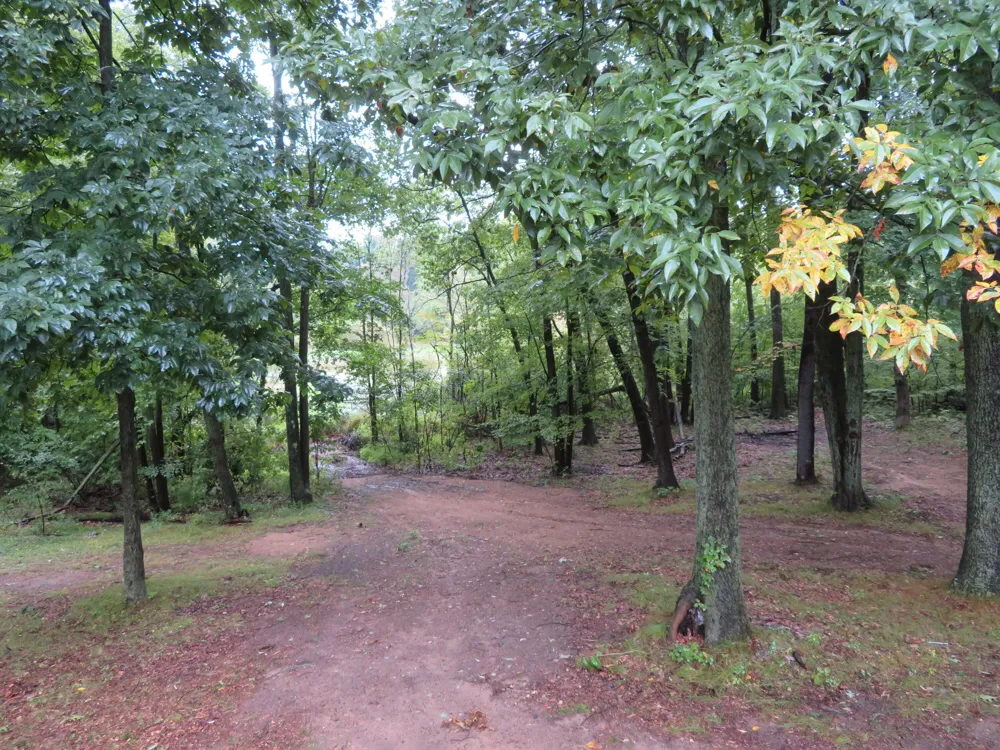 9560 Meridian Road Pleasant Lake, MI 49272