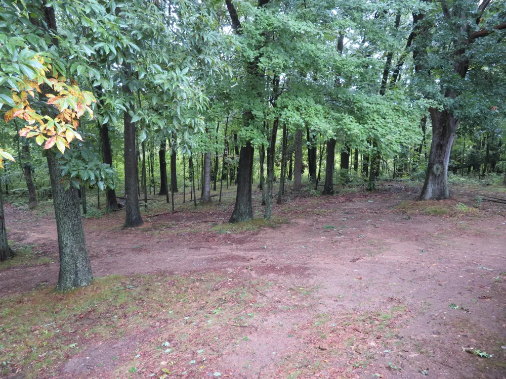 9560 Meridian Road Pleasant Lake, MI 49272