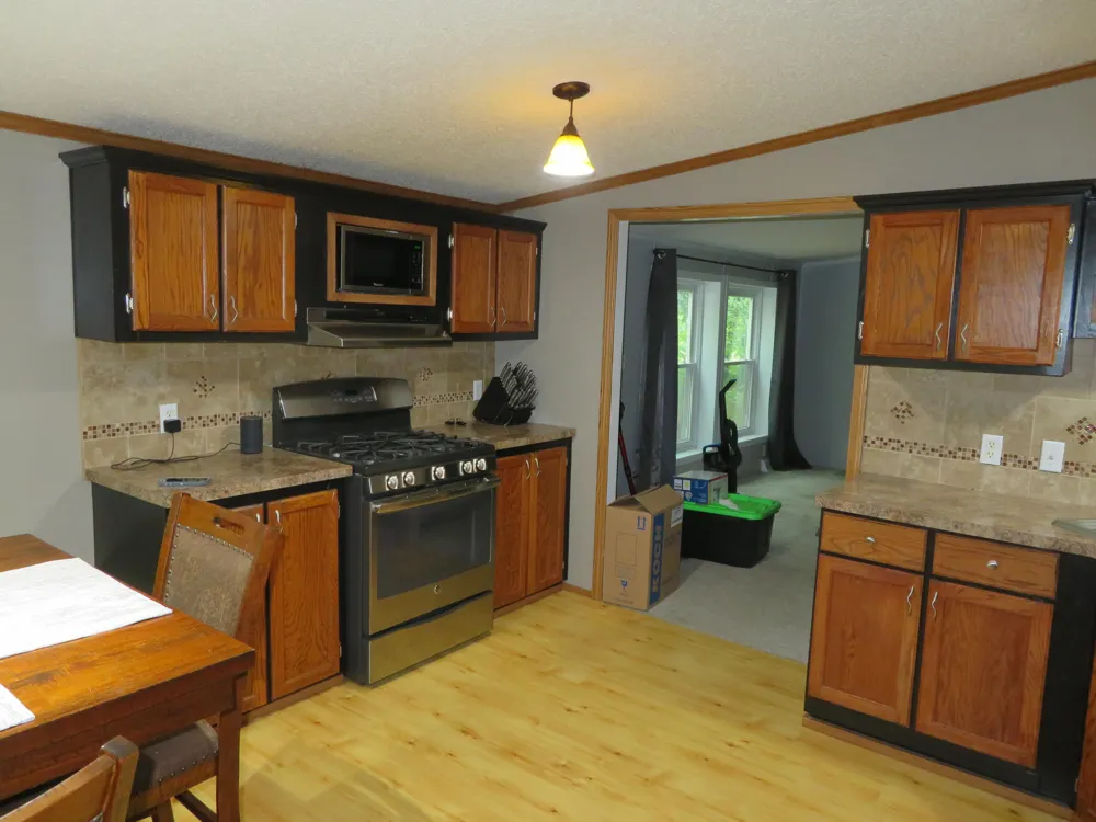 9560 Meridian Road Pleasant Lake, MI 49272