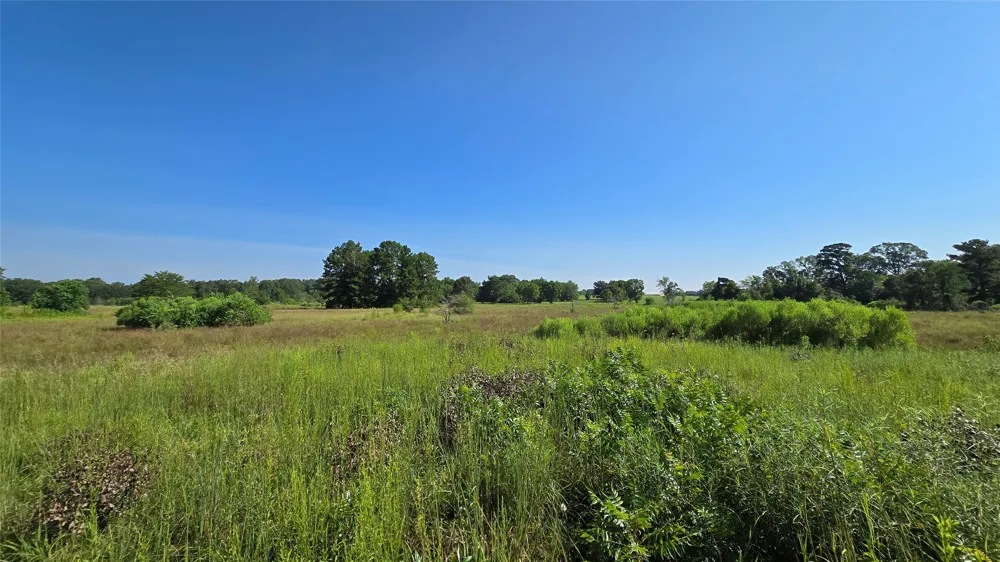 333 County Road 3092 De Berry, TX 75639