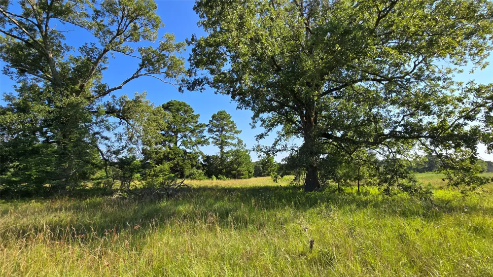 333 County Road 3092 De Berry, TX 75639