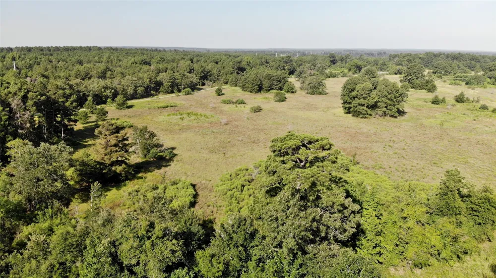 333 County Road 3092 De Berry, TX 75639