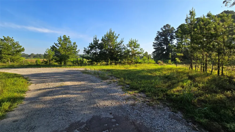 333 County Road 3092 De Berry, TX 75639