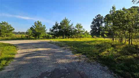 333 County Road 3092