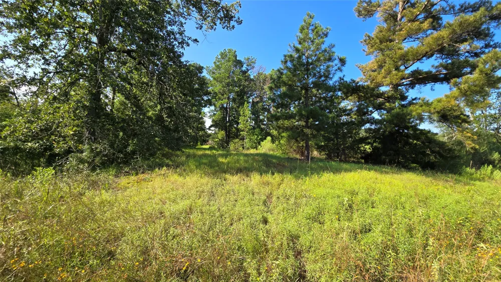 333 County Road 3092 De Berry, TX 75639