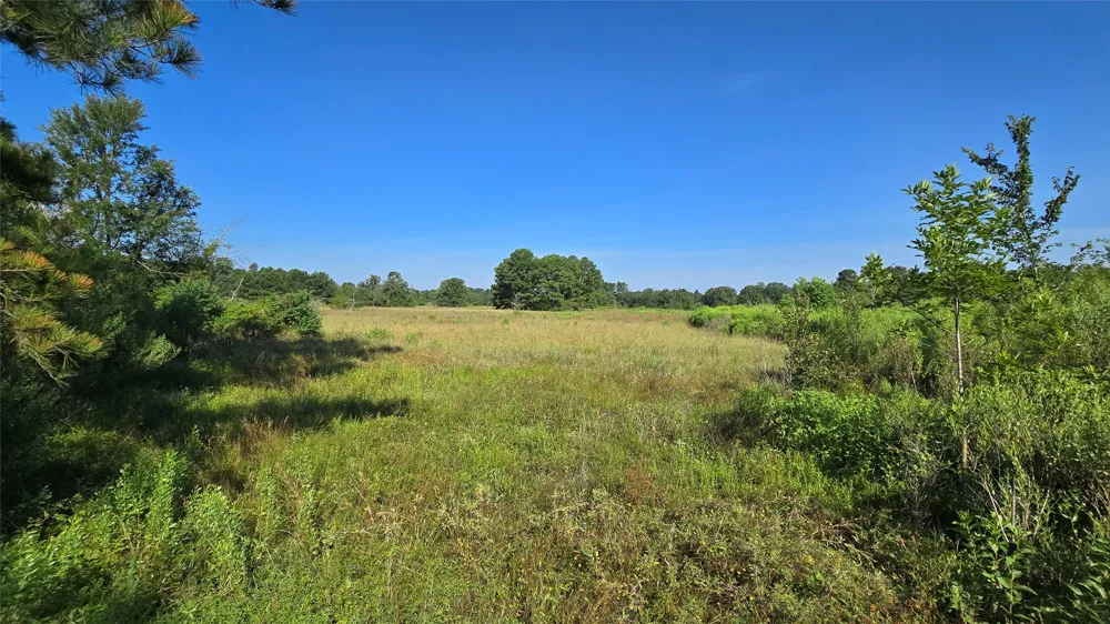 333 County Road 3092 De Berry, TX 75639