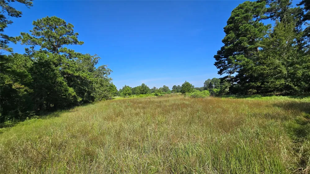 333 County Road 3092 De Berry, TX 75639