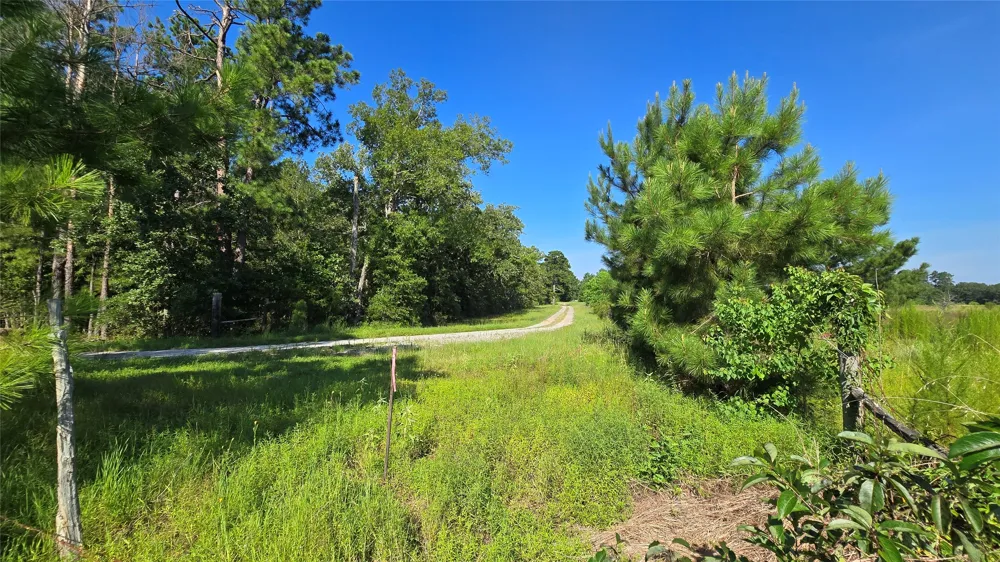 333 County Road 3092 De Berry, TX 75639
