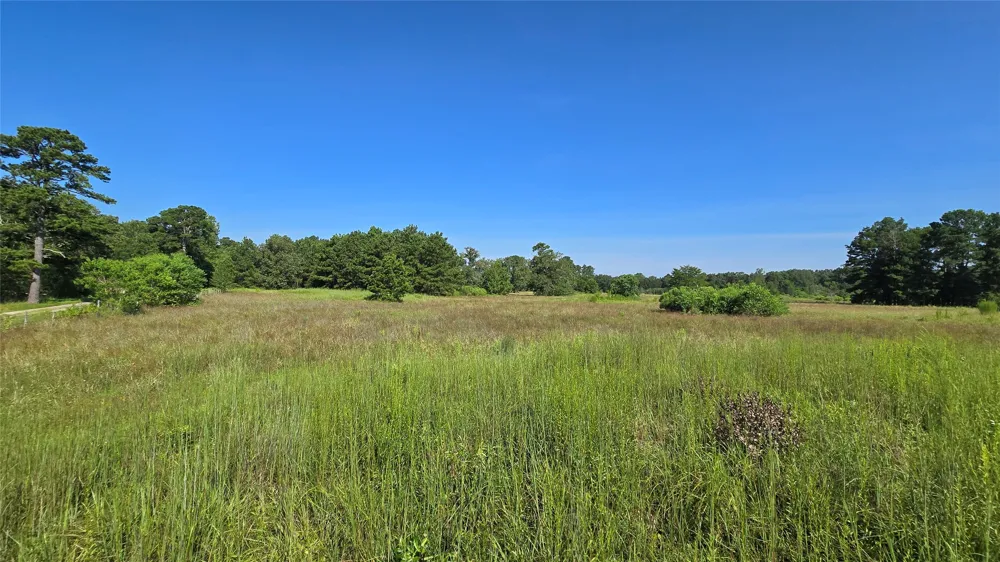 333 County Road 3092 De Berry, TX 75639