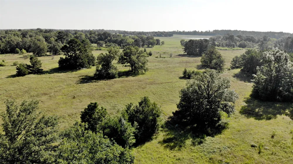333 County Road 3092 De Berry, TX 75639