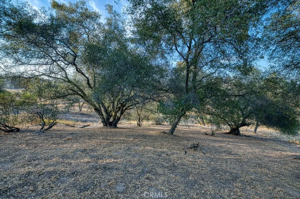 41810 Road 406 Coarsegold, CA 93614
