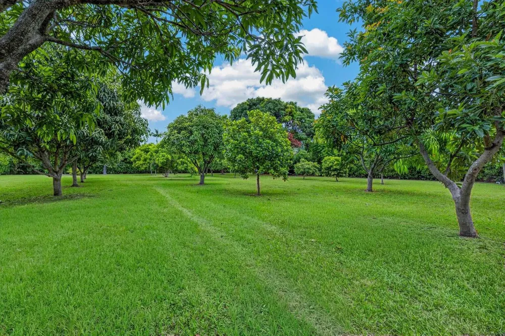 125 NE 146TH STREET Miami, FL 33161