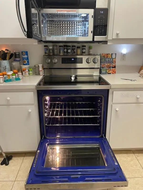735 TREMONT GREENS LANE #48 Sun City Center, FL 33573