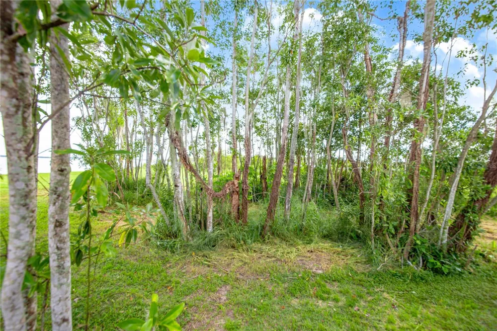 2427 BLACK ROAD Fort Meade, FL 33841