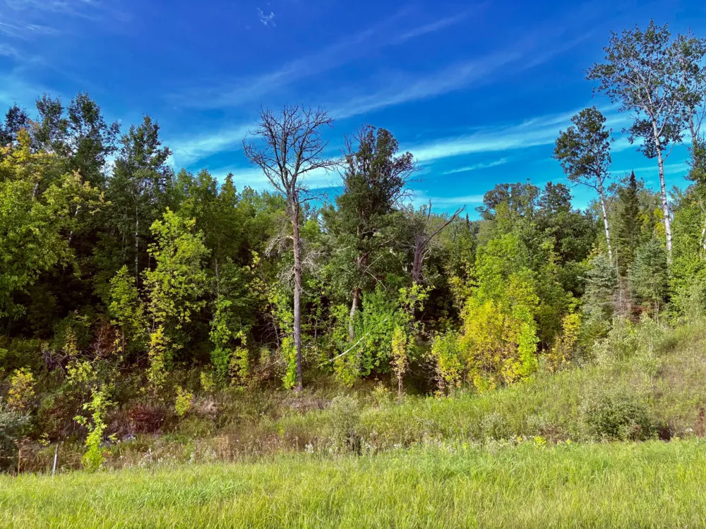 TBD State Highway 11 Loman, MN 56654