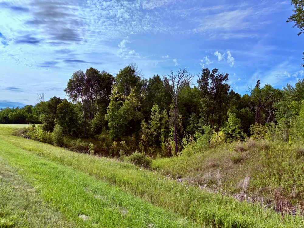 TBD State Highway 11 Loman, MN 56654