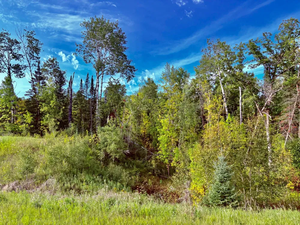 TBD State Highway 11 Loman, MN 56654