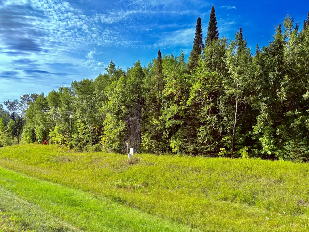 TBD State Highway 11 Loman, MN 56654
