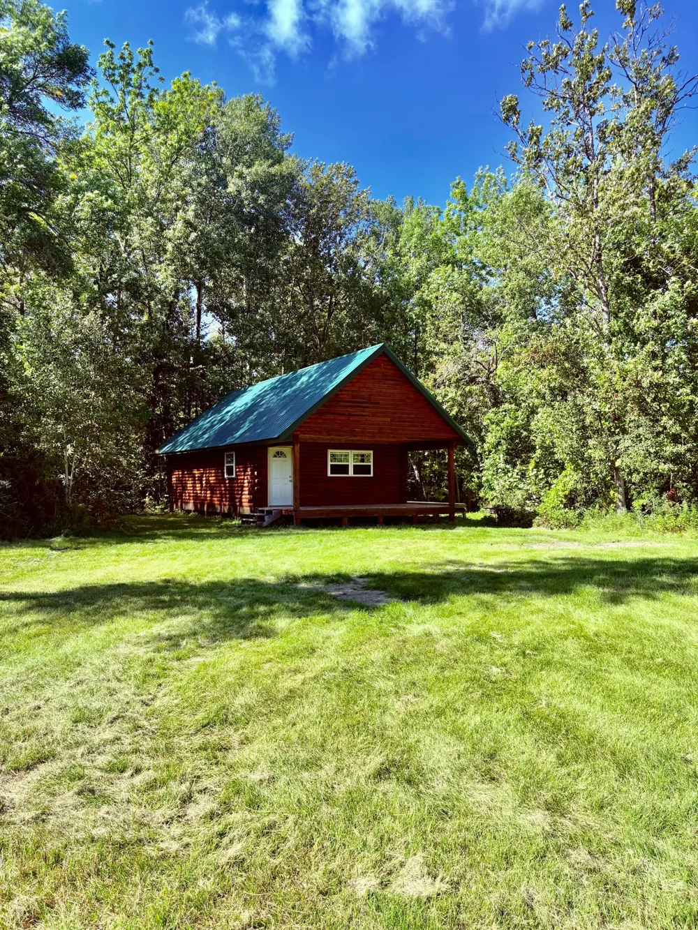 TBD State Highway 11 Loman, MN 56654