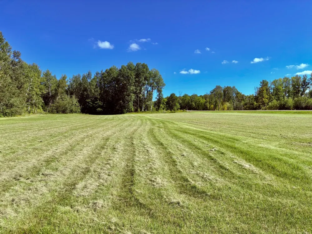 TBD State Highway 11 Loman, MN 56654