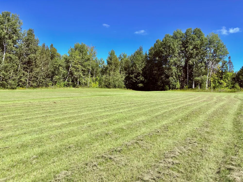 TBD State Highway 11 Loman, MN 56654