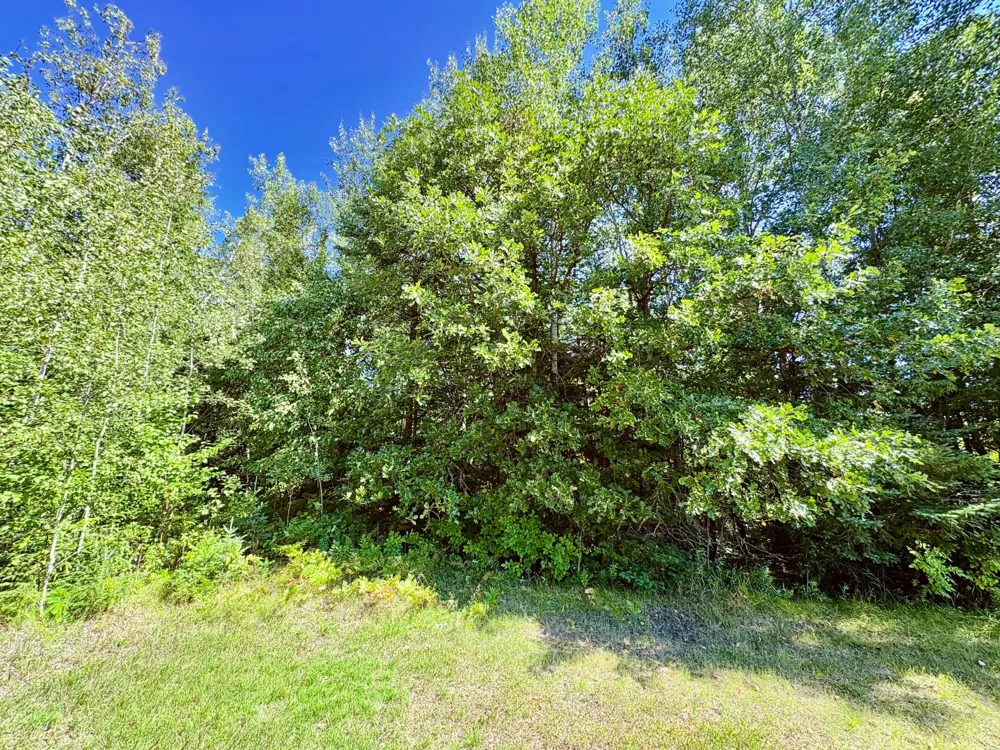 TBD State Highway 11 Loman, MN 56654