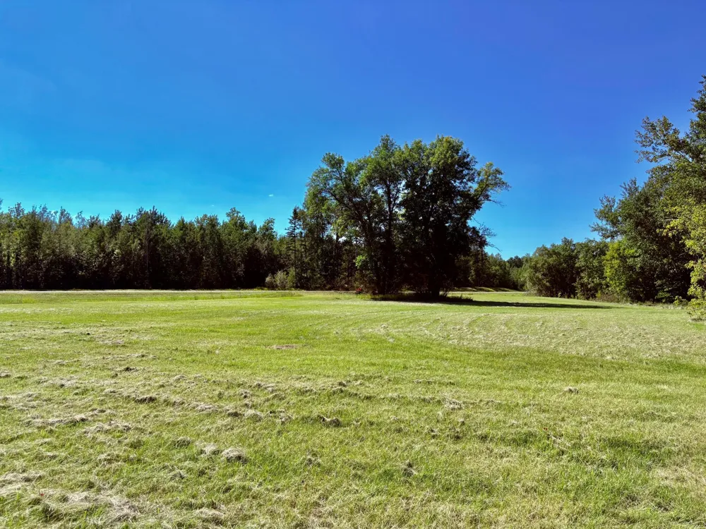 TBD State Highway 11 Loman, MN 56654