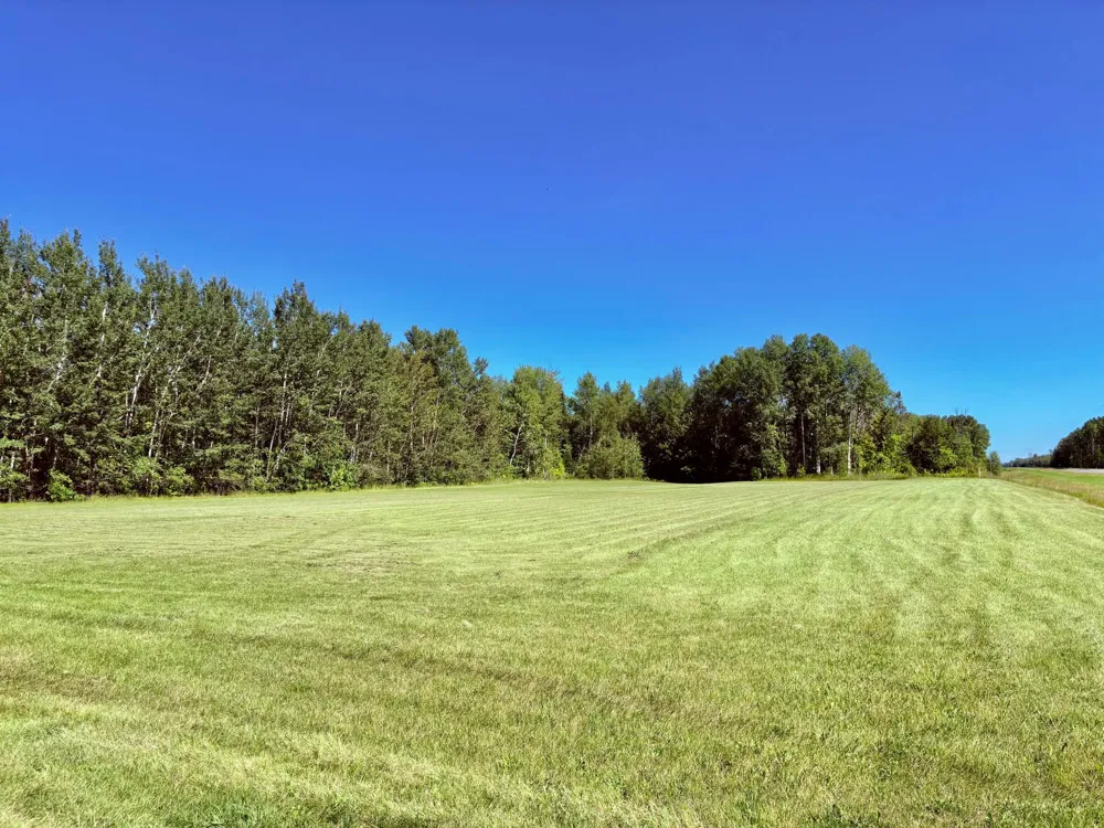 TBD State Highway 11 Loman, MN 56654