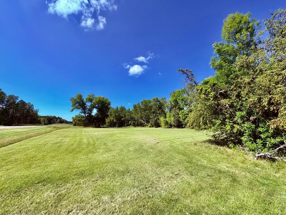 TBD State Highway 11 Loman, MN 56654
