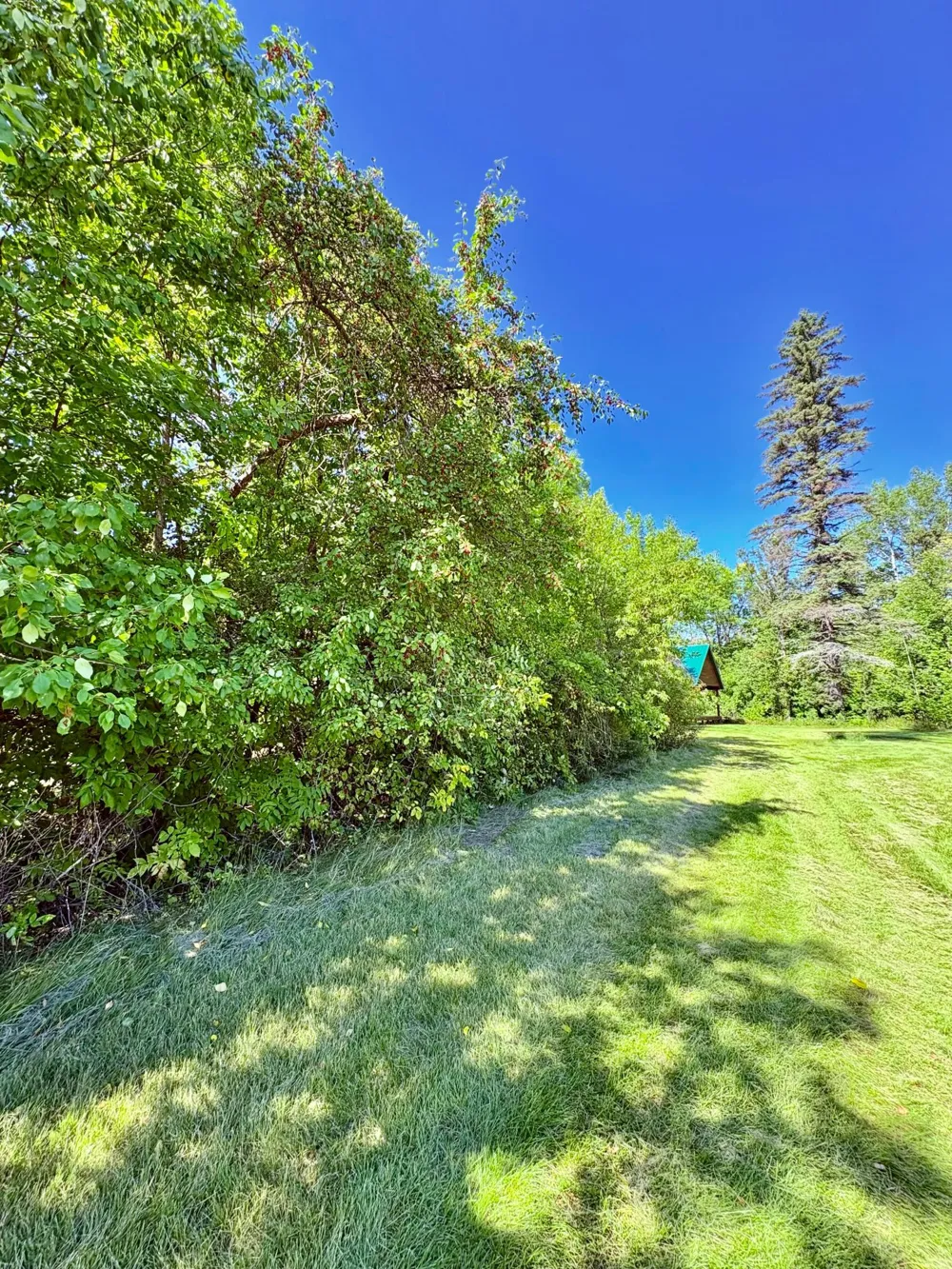 TBD State Highway 11 Loman, MN 56654