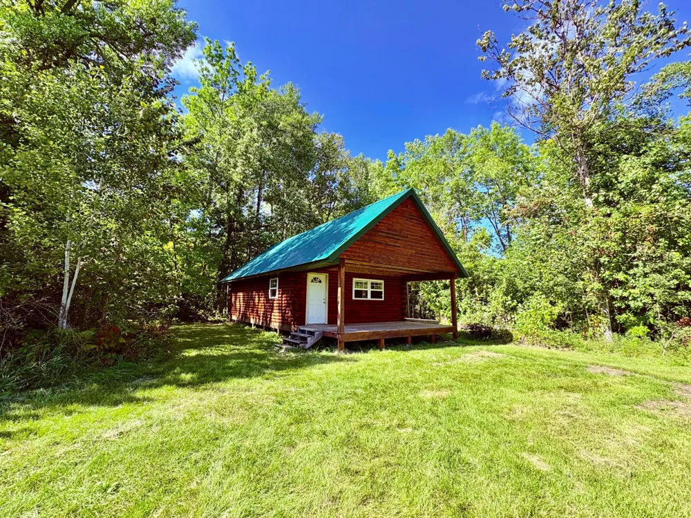 TBD State Highway 11 Loman, MN 56654
