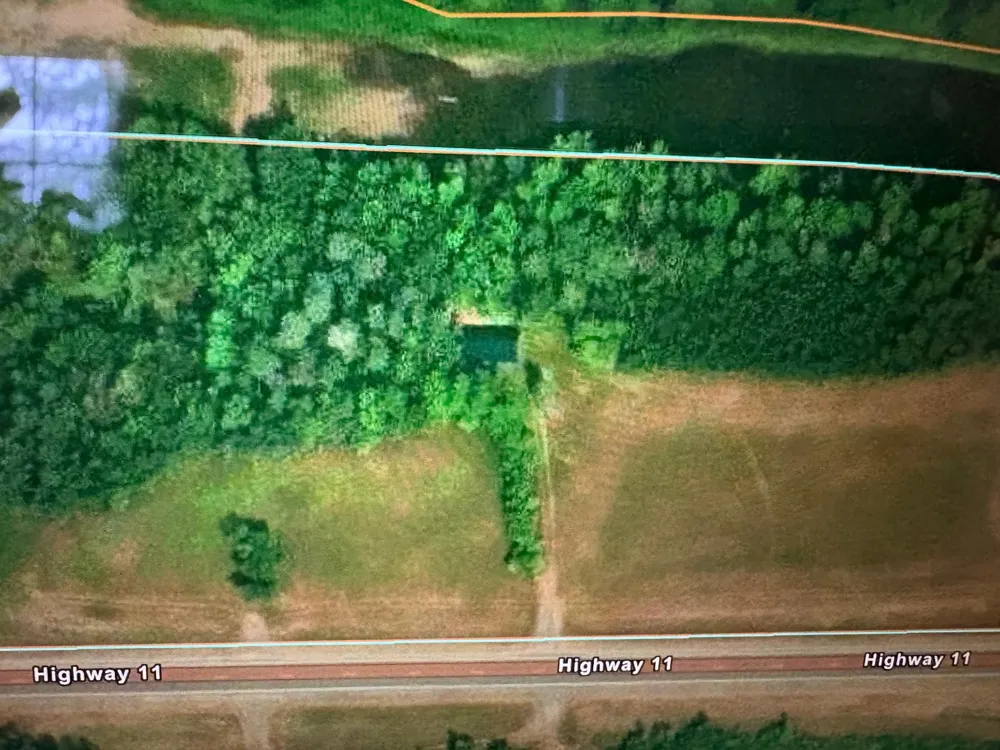 TBD State Highway 11 Loman, MN 56654