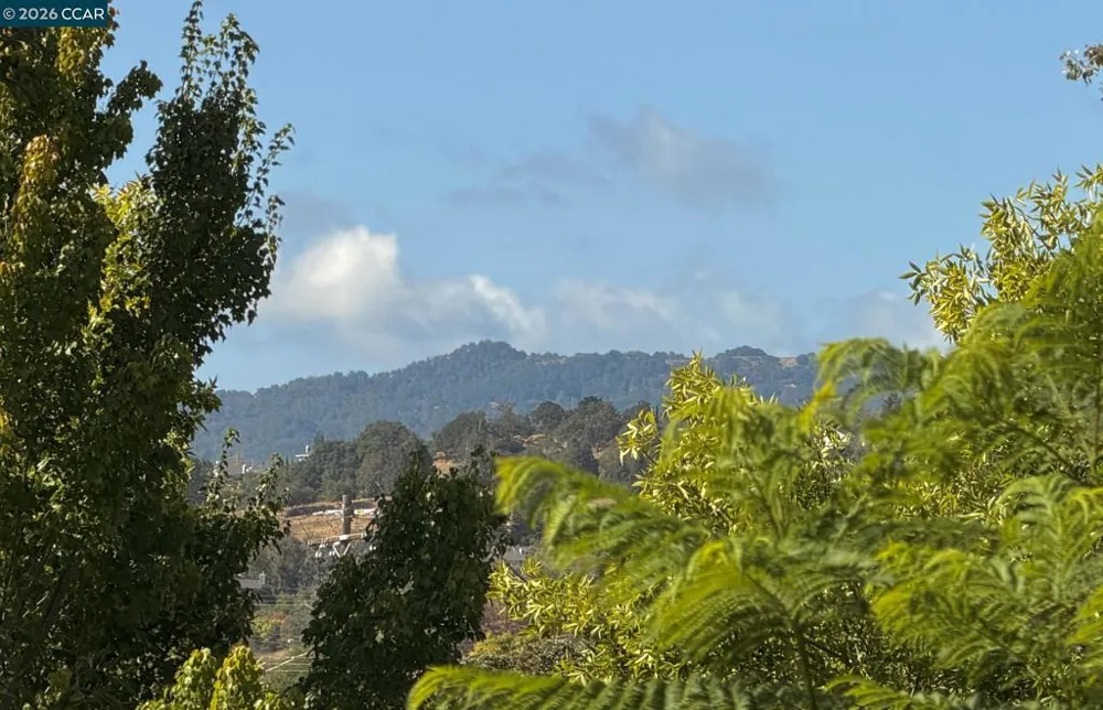 79 Fountainhead Ct Martinez, CA 94553