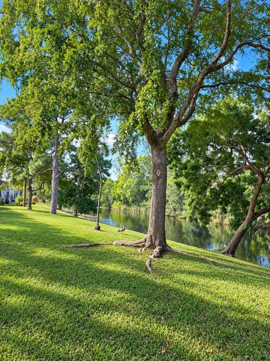 370 Durham L #370 Deerfield Beach, FL 33442