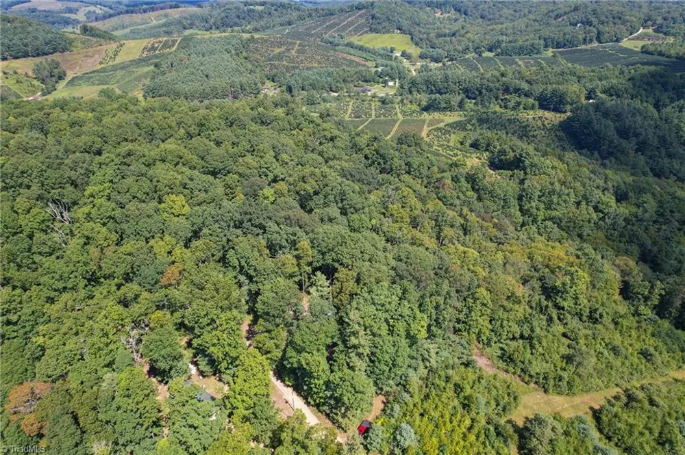 TBD Elk Ridge Lane Laurel Springs, NC 28644