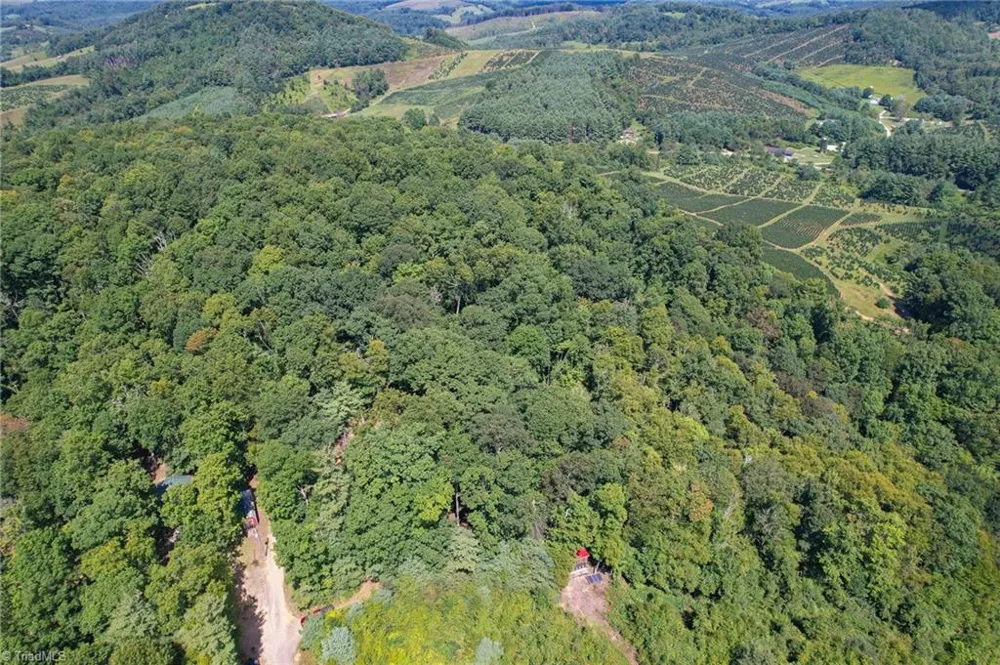 TBD Elk Ridge Lane Laurel Springs, NC 28644