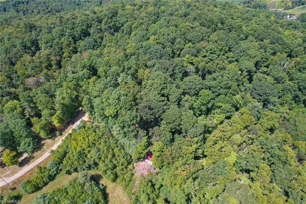 TBD Elk Ridge Lane Laurel Springs, NC 28644