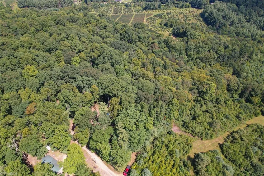 TBD Elk Ridge Lane Laurel Springs, NC 28644