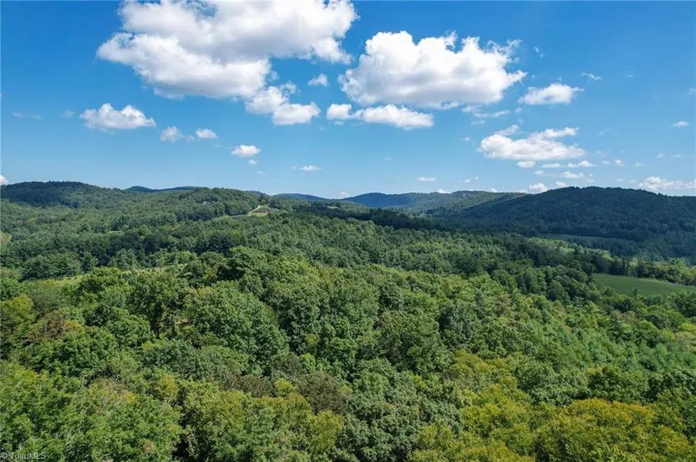 TBD Elk Ridge Lane Laurel Springs, NC 28644