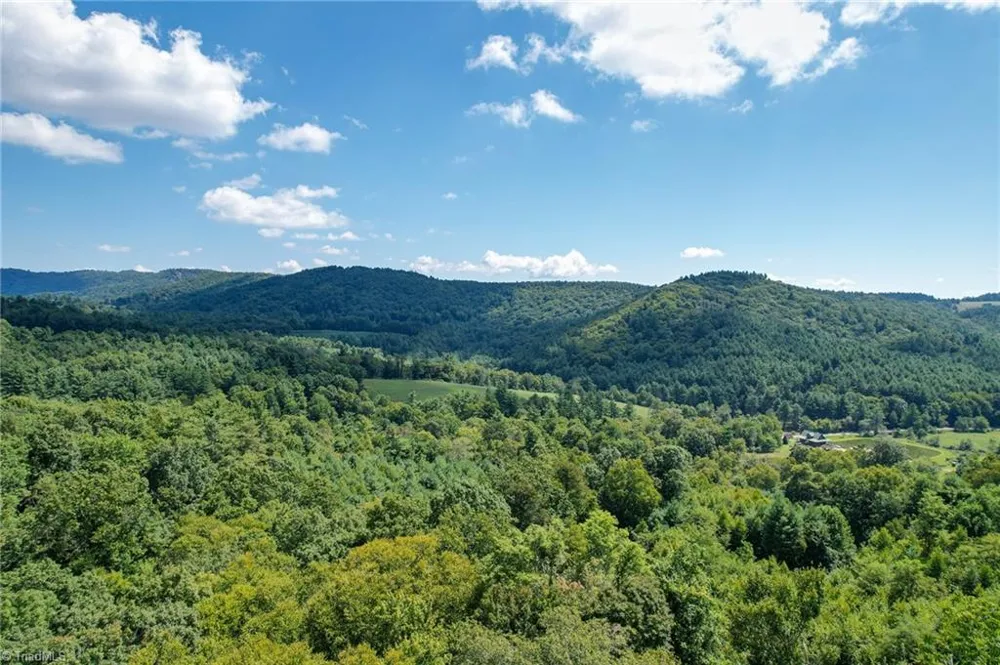 TBD Elk Ridge Lane Laurel Springs, NC 28644