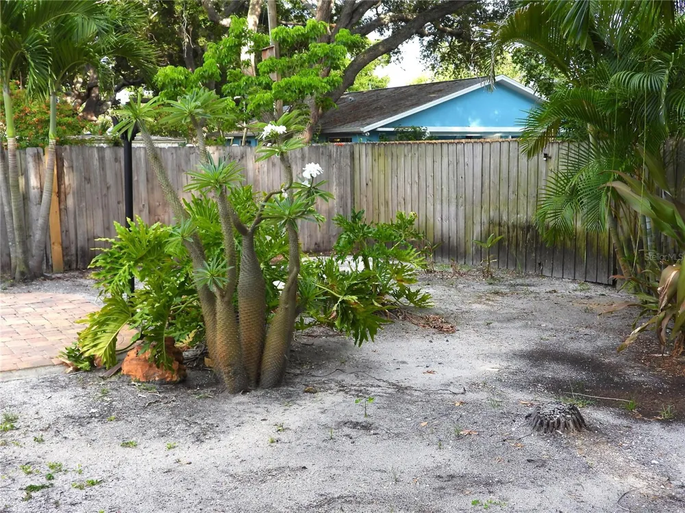 7800 COUNTRY CLUB ROAD St Petersburg, FL 33710