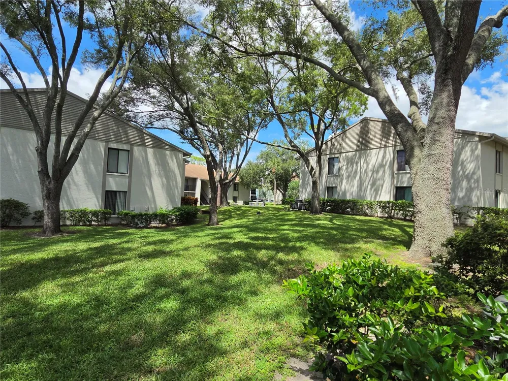 1700 PINE RIDGE WAY E #C1 Palm Harbor, FL 34684