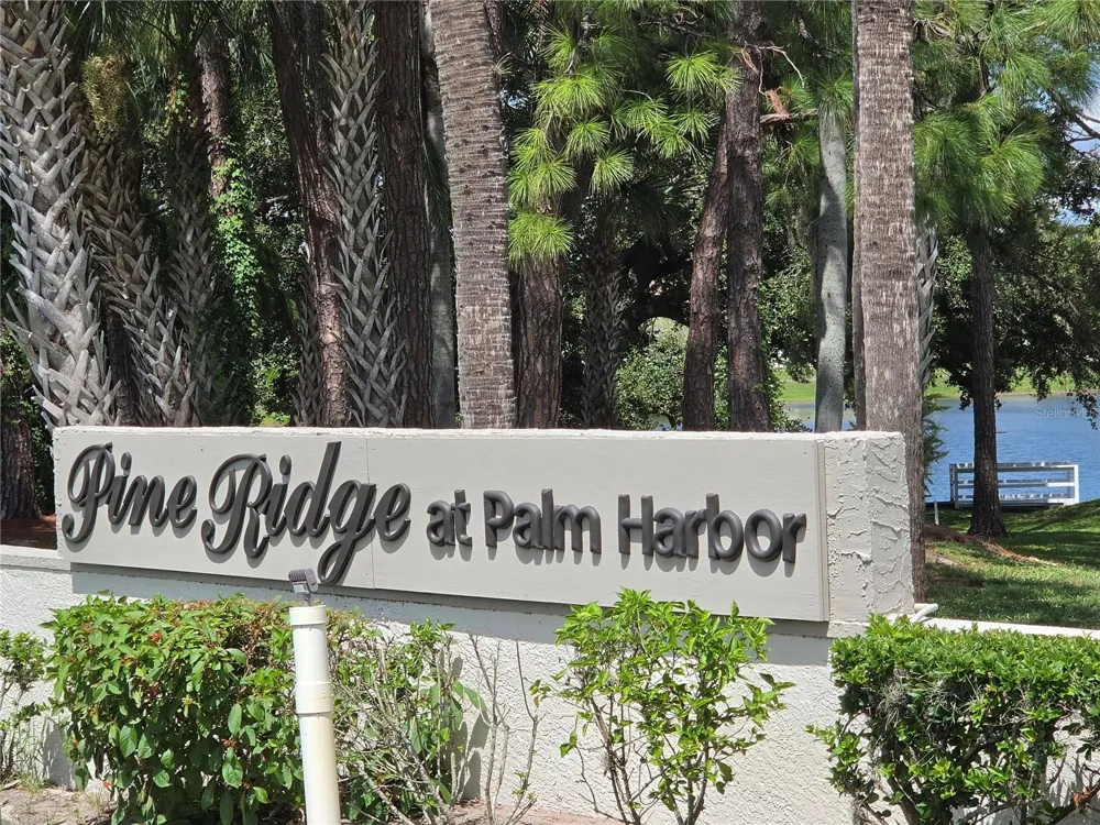 1700 PINE RIDGE WAY E #C1 Palm Harbor, FL 34684