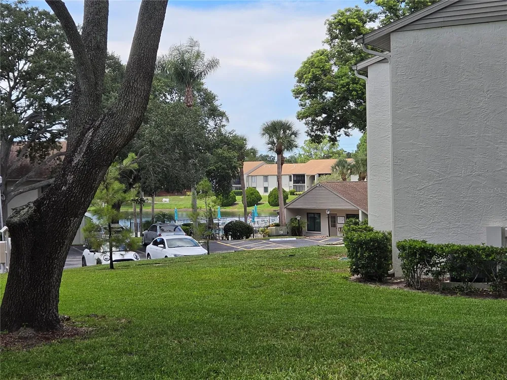 1700 PINE RIDGE WAY E #C1 Palm Harbor, FL 34684